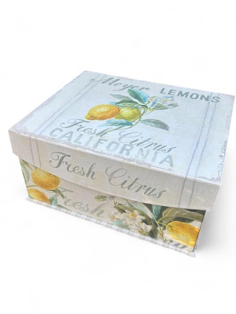 Fresh Citrus Decorative Storage Box by